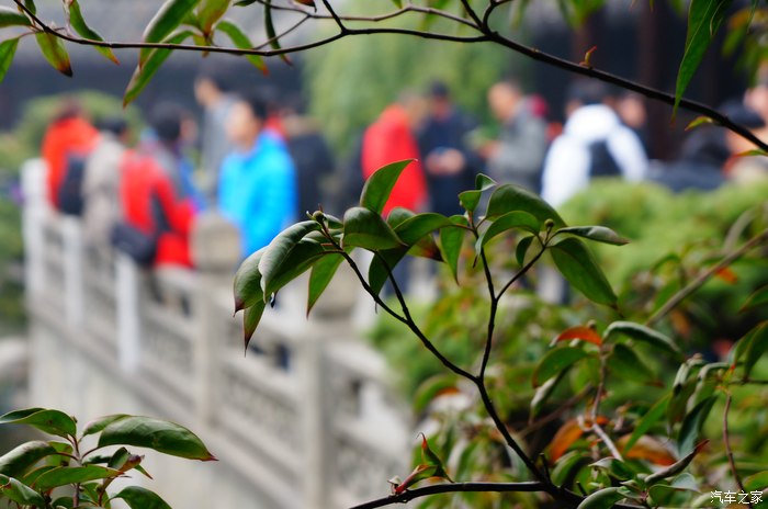 踏春简谱_踏春(2)