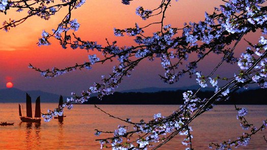 【图】无锡一日游最佳路线_自驾游论坛_汽车