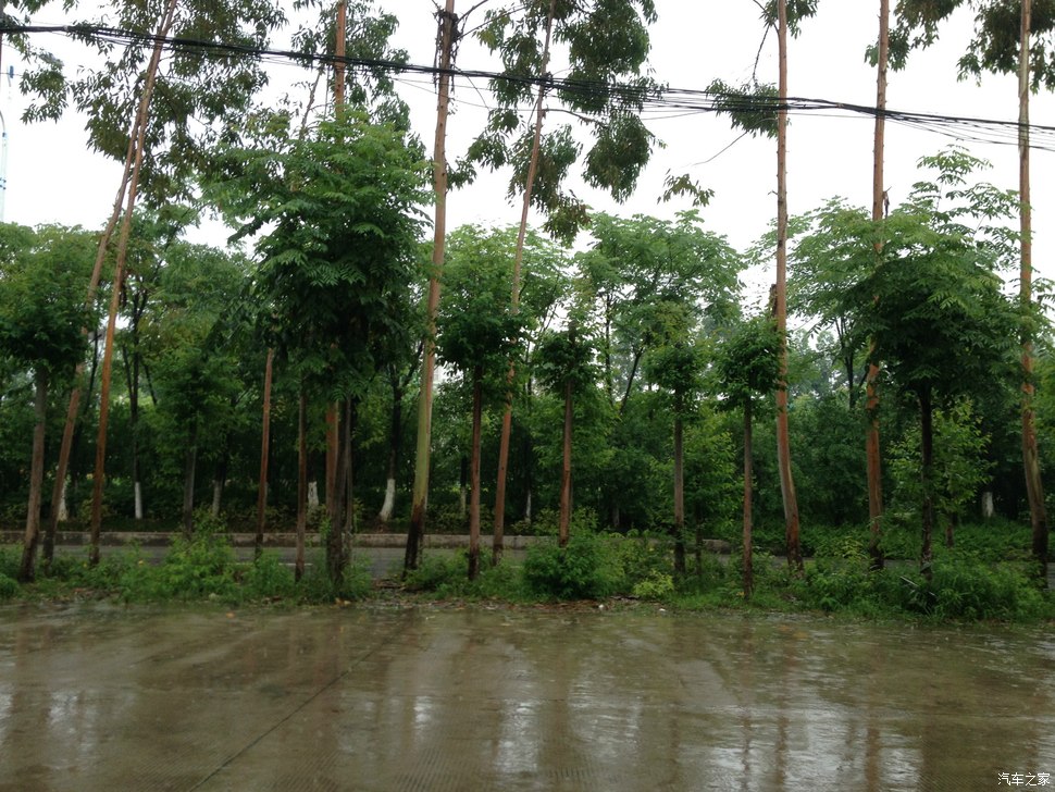 。。4s店门前的下雨天。。。中雨绵绵不断。。。情丝缠绕小五.。。。。。