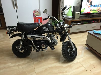 小投资收获大大的满足,本田小猴子Z50CC高仿