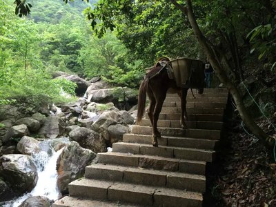 临安大明山---白水涧,双休亲子自驾两日游.