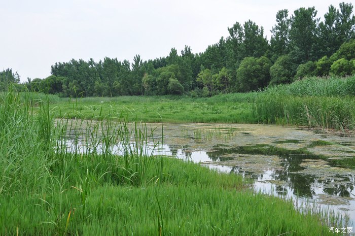 鹤壁淇河湿地公园