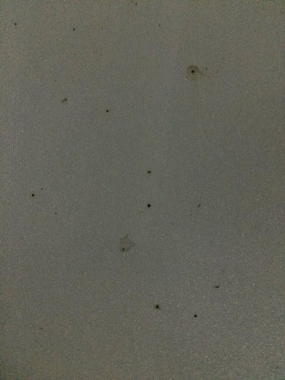 请教白色车漆黄点,怎么清除。谢谢_标致508论