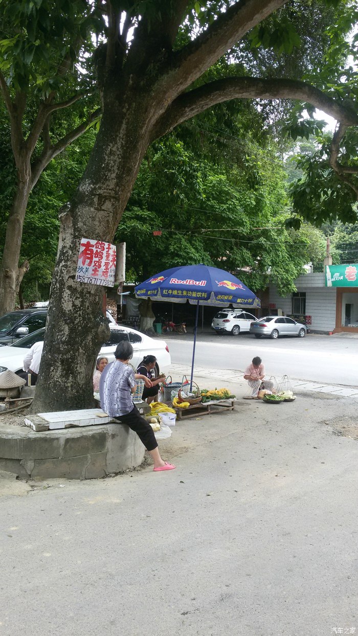 店门前有农家拿点青菜出来卖我二姨妈高峰林场的有时候也拿几只土鸡来