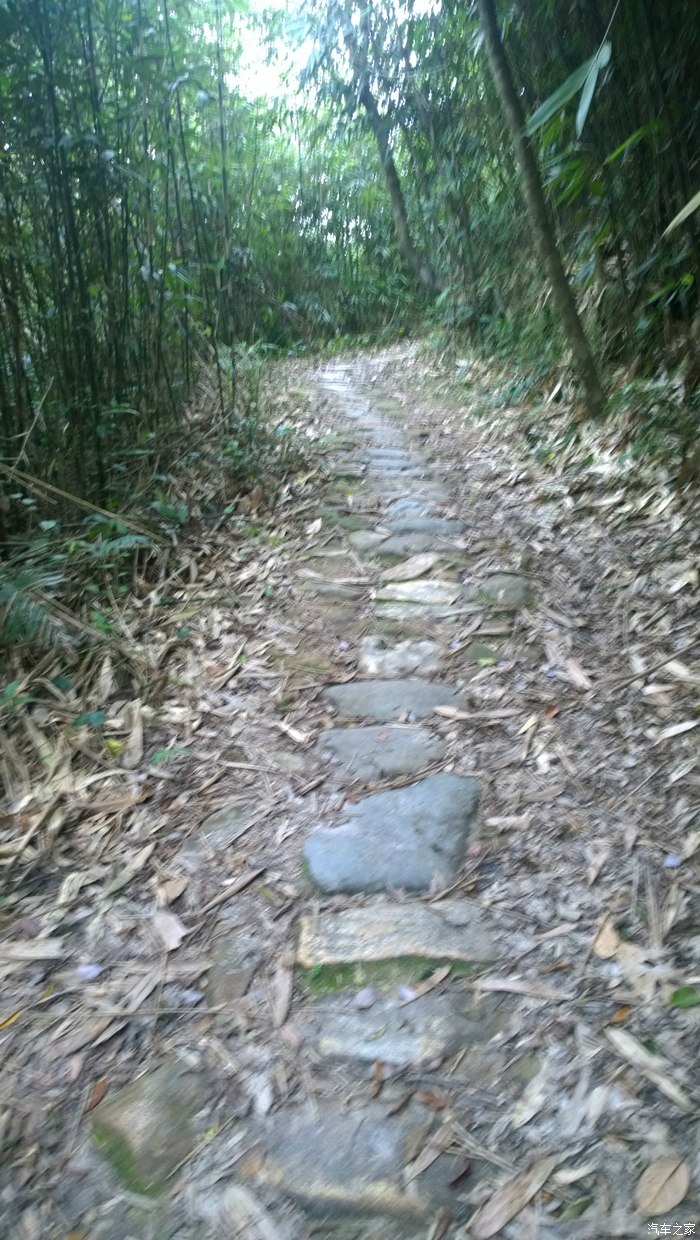 海丰莲花山通平古道穿越