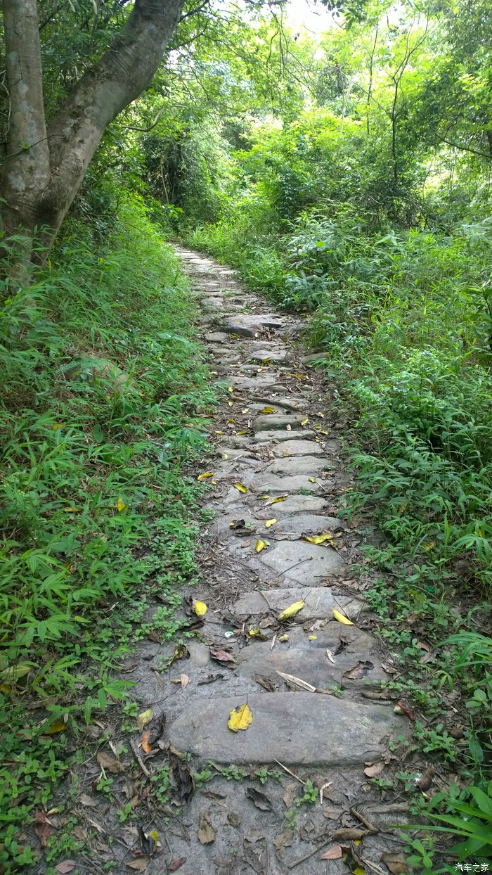 海丰莲花山通平古道穿越