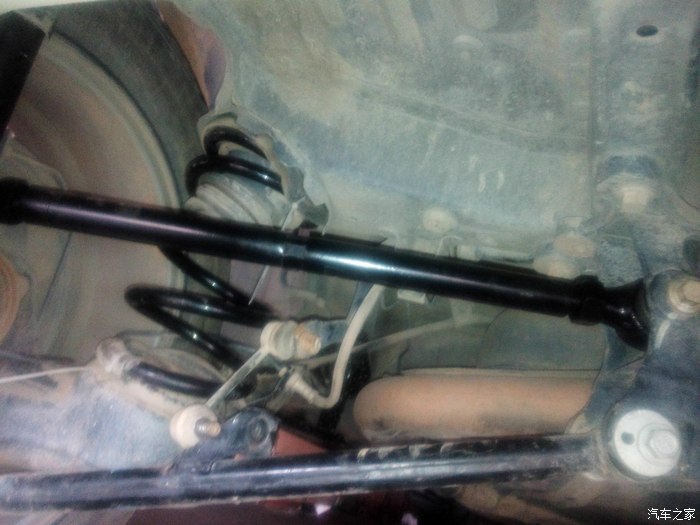 【图】给虎子做了次手术《治疗外八字》效果不