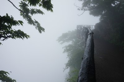 栈道上的小景区,游人可以小息,雾蒙蒙,雨蒙蒙,好美的景象!