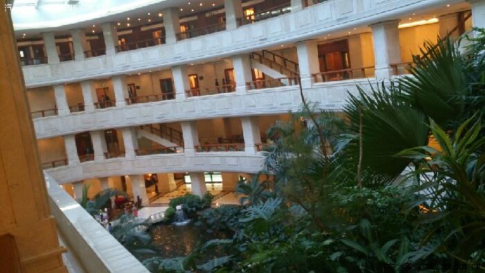 皇冠假日通鸡205839楼已自首