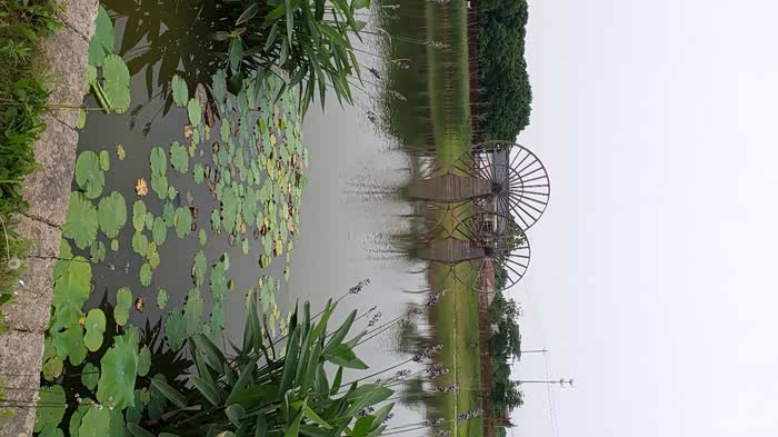 【无锡cs75车友会】自驾游烧烤圣地之凤凰山生态园