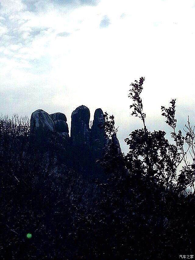 新年伊時登佛手山