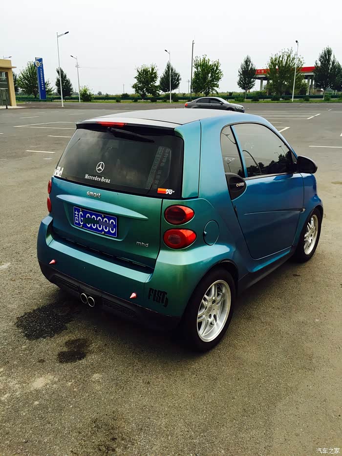 我的绿豆蝇战斗蝇