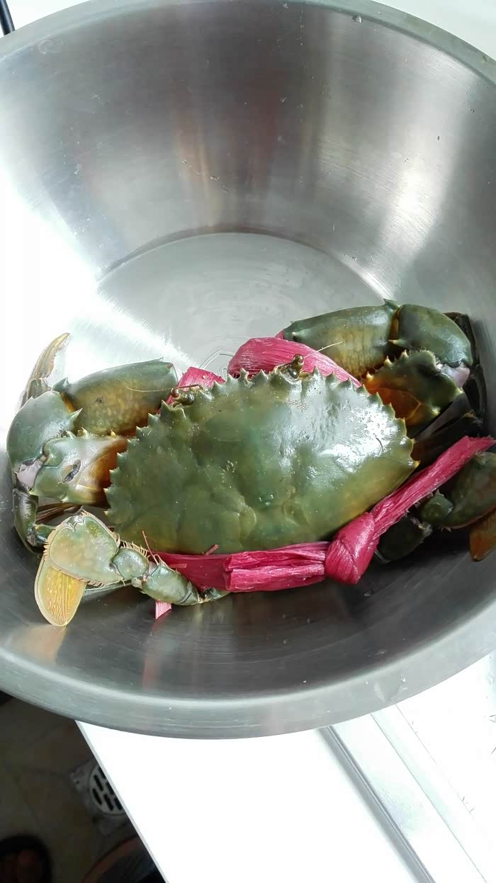 和乐蟹又名膏蟹