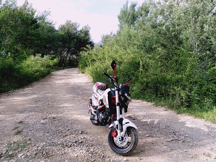 【图】提了小暴龙了 找到组织了 不知道有没有日系车主要喷_贝纳利