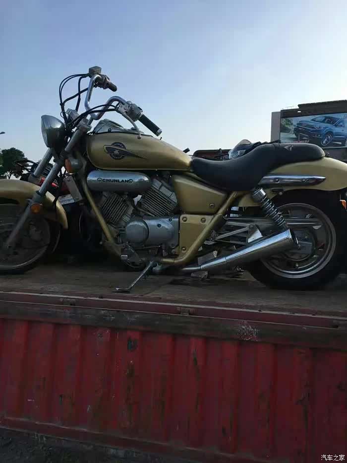 春兰小虎神,找寻曾经的记忆!