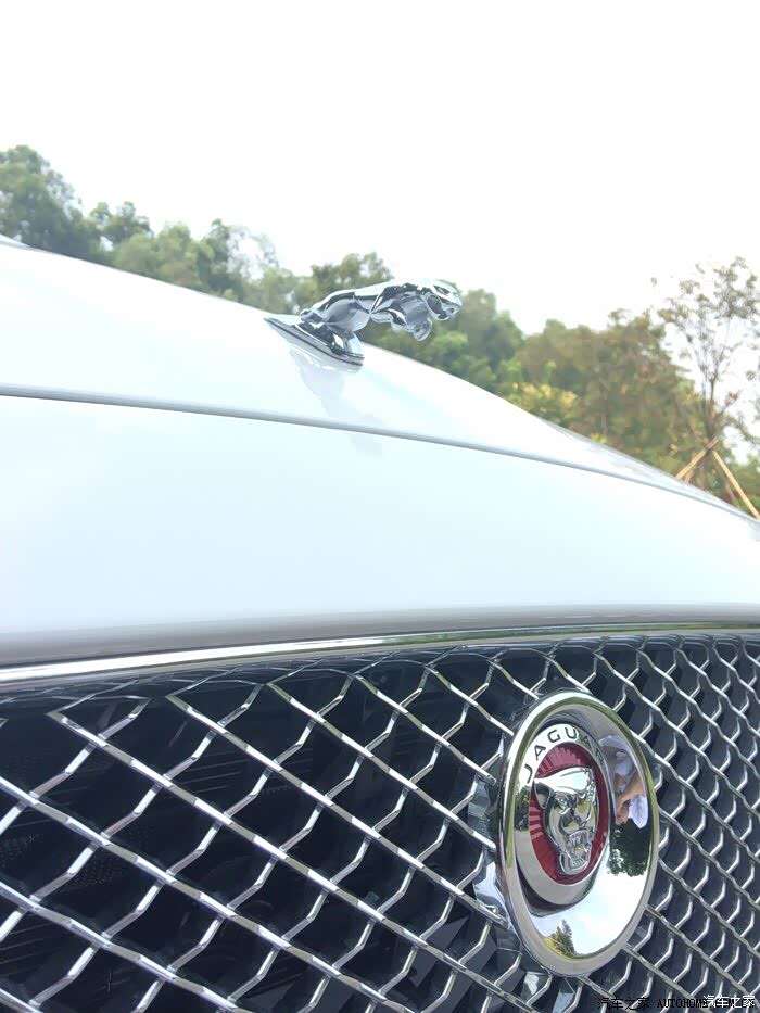 捷豹立标能拿掉么