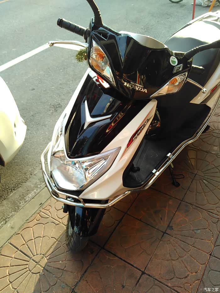 双色五羊本田雅志110