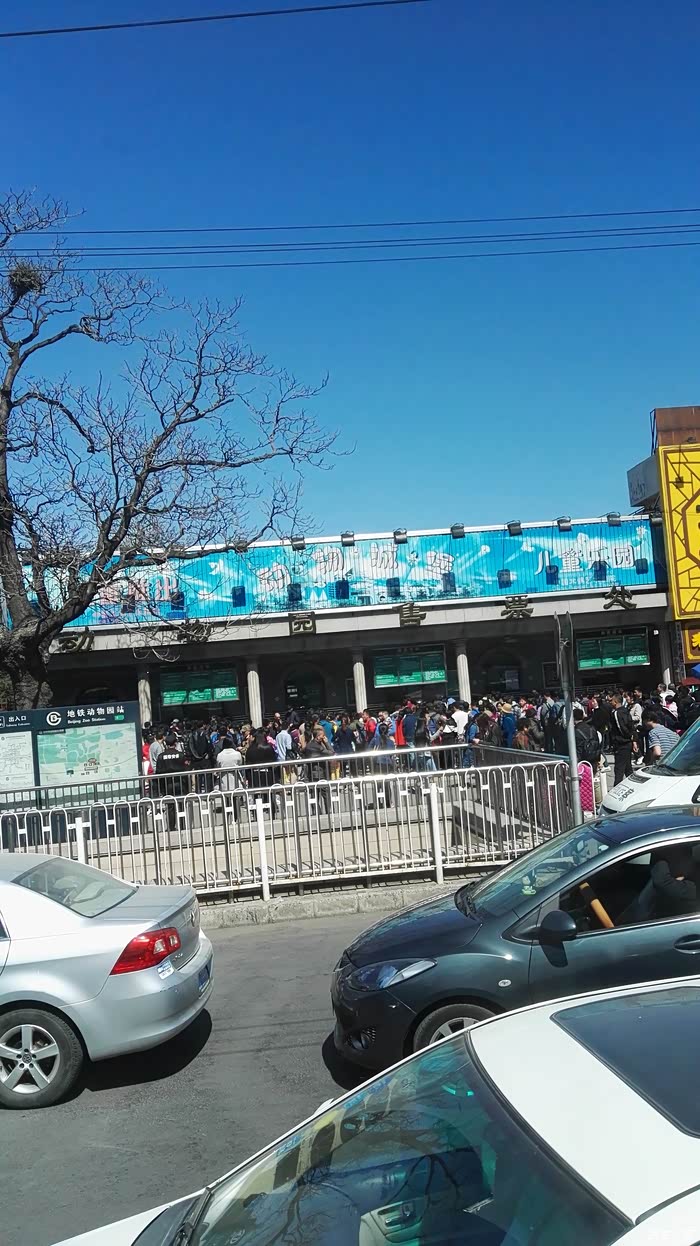 【图】动物园南门大堵车_北京论坛_汽车之家论坛