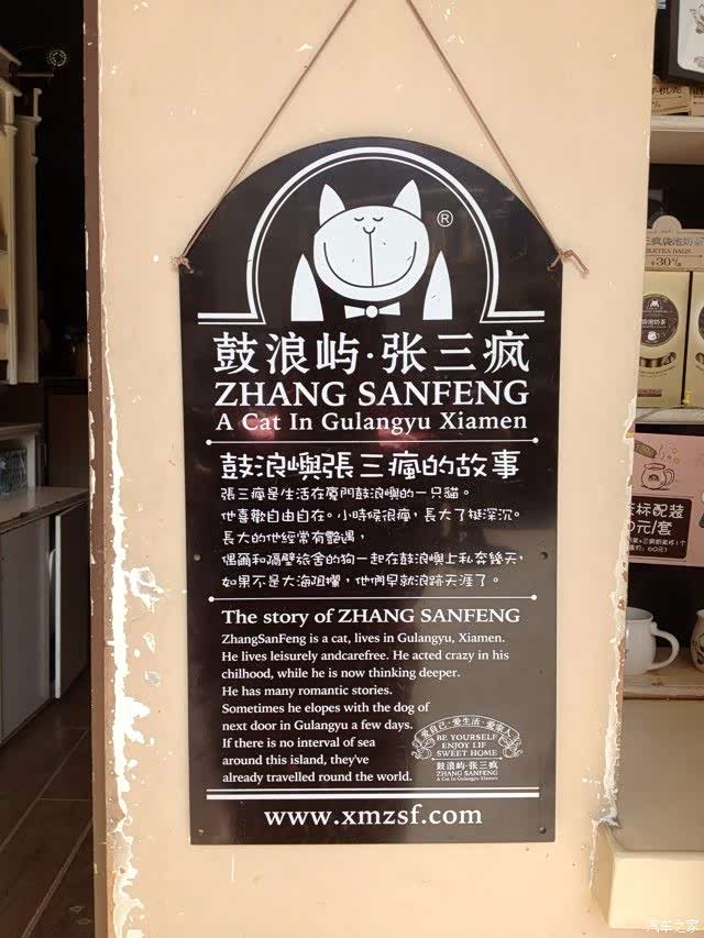 一只叫张三疯的猫的故事.