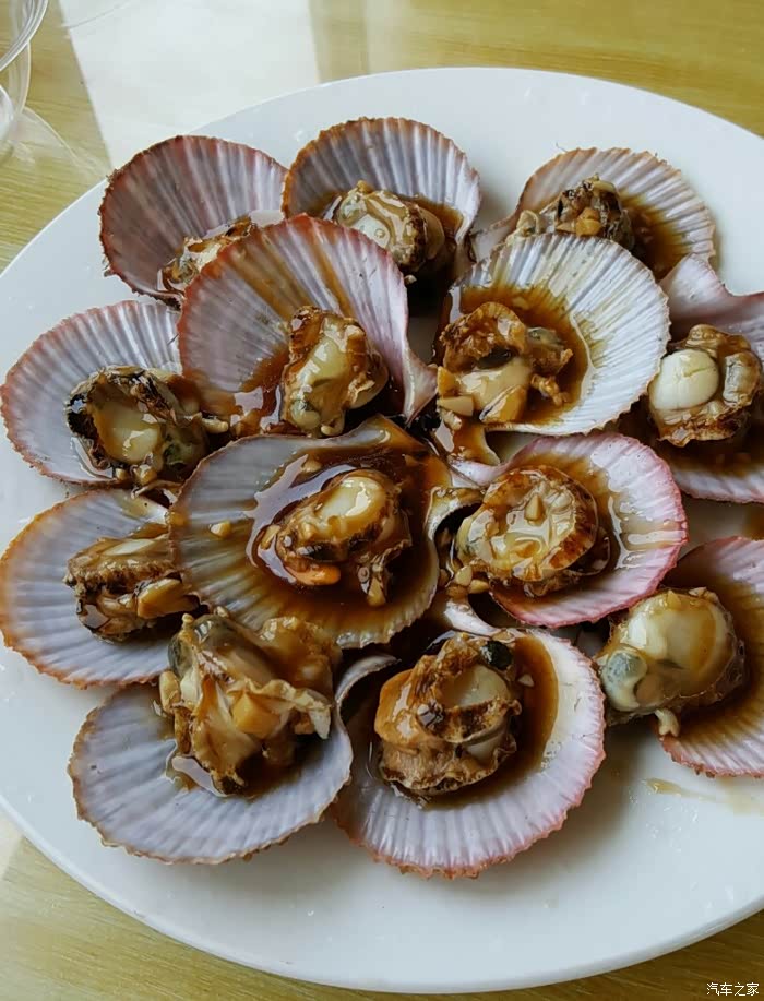 寻海看海吃海味,连岛消暑最快活