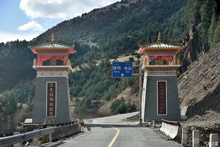 两只老虎愉快心情