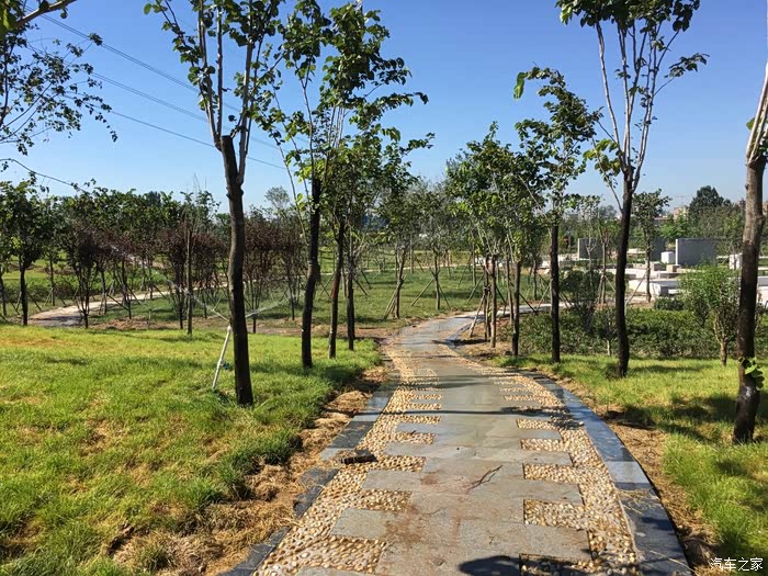 河南乔森开着六子转转滑县东湖