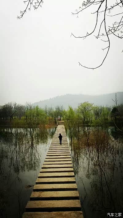 五柳因水而出名,库区沿岸种植的大多是柳树,随风摇曳,柳色婆娑.