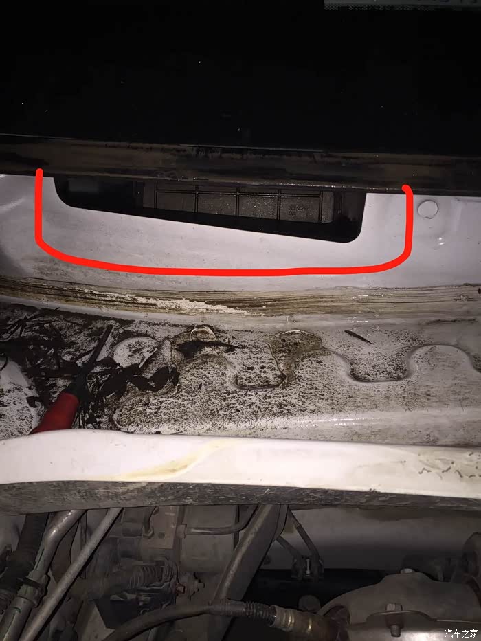 确实是树叶堵住