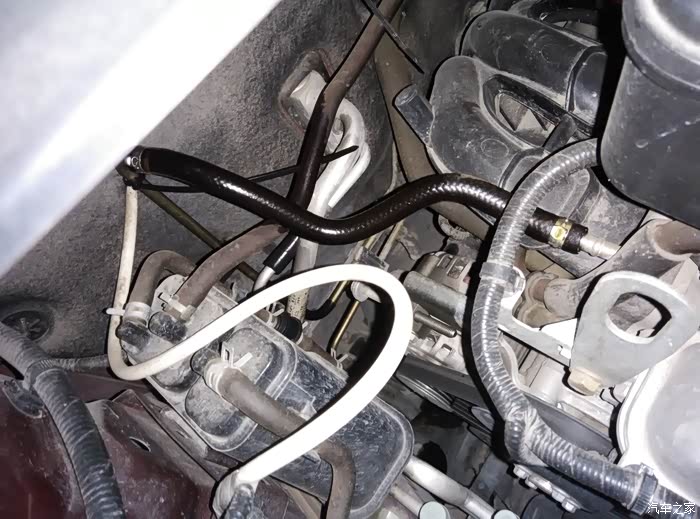 长安cx20论坛_汽车之家论坛