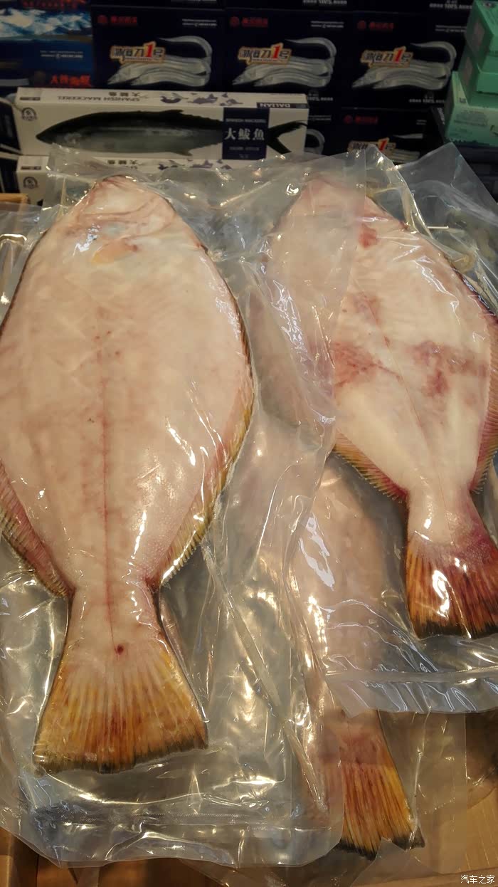 野生冰冻野生牙片鱼每条7斤左右