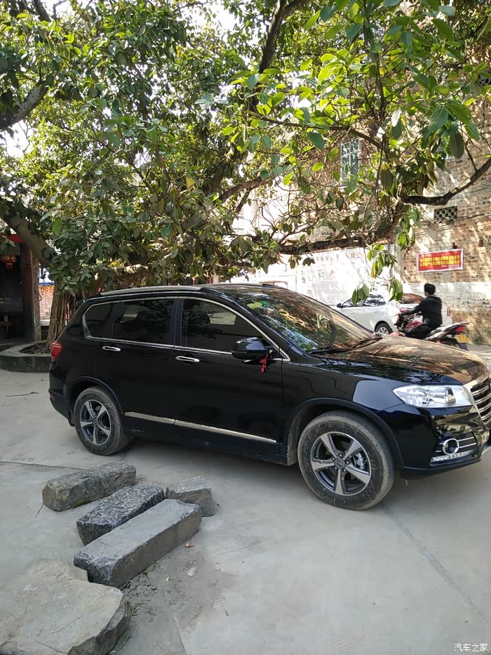 我的柴六7个月了准备迎接第一个春节