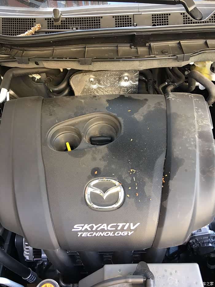 首保过后,加玻璃水的时候看到发动机机盖上有一片油渍,过了两个礼拜