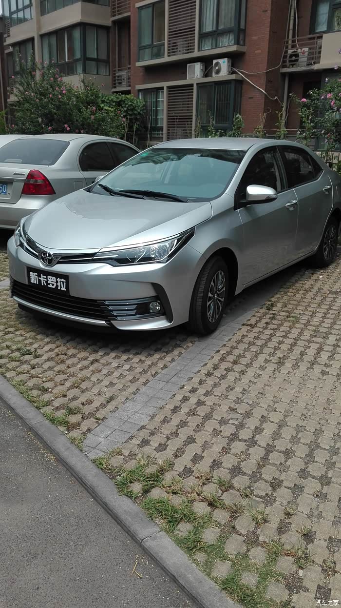 银色卡罗拉车主请进!