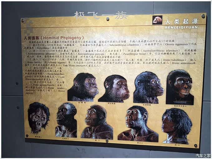 自驾游观人类起源赏鬼斧神工