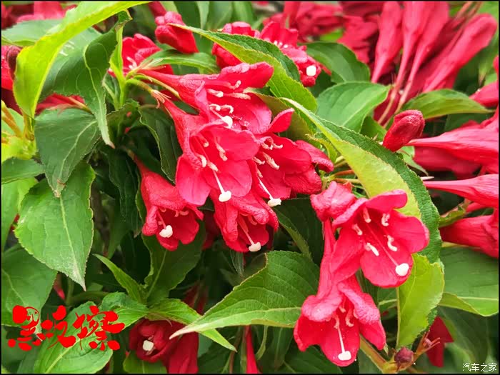 【无锡cs75车友会】五一自驾游虞姬生态公园