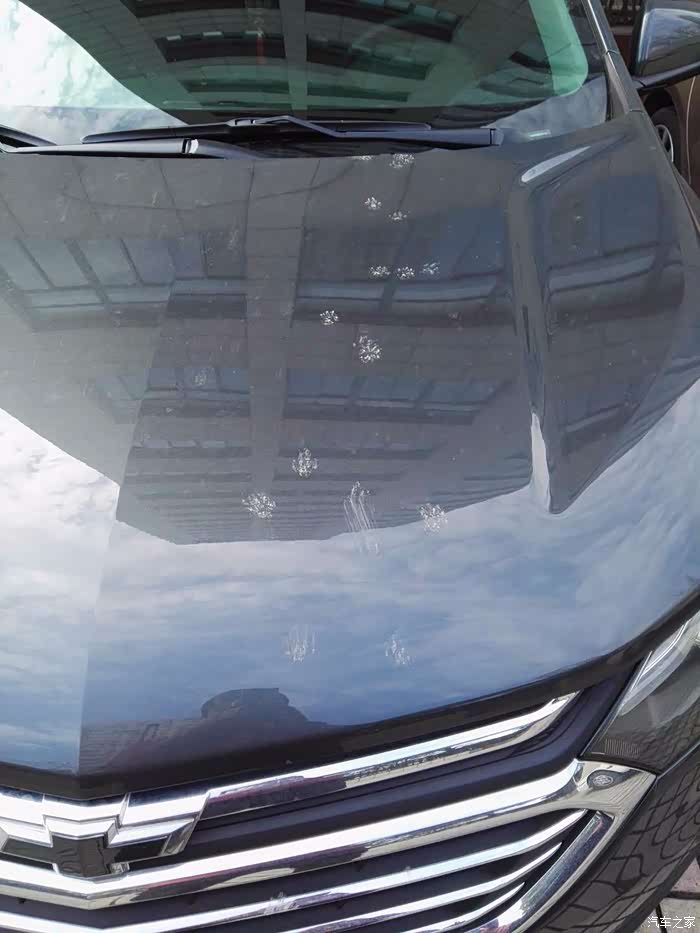 每天早晨都有的猫爪印