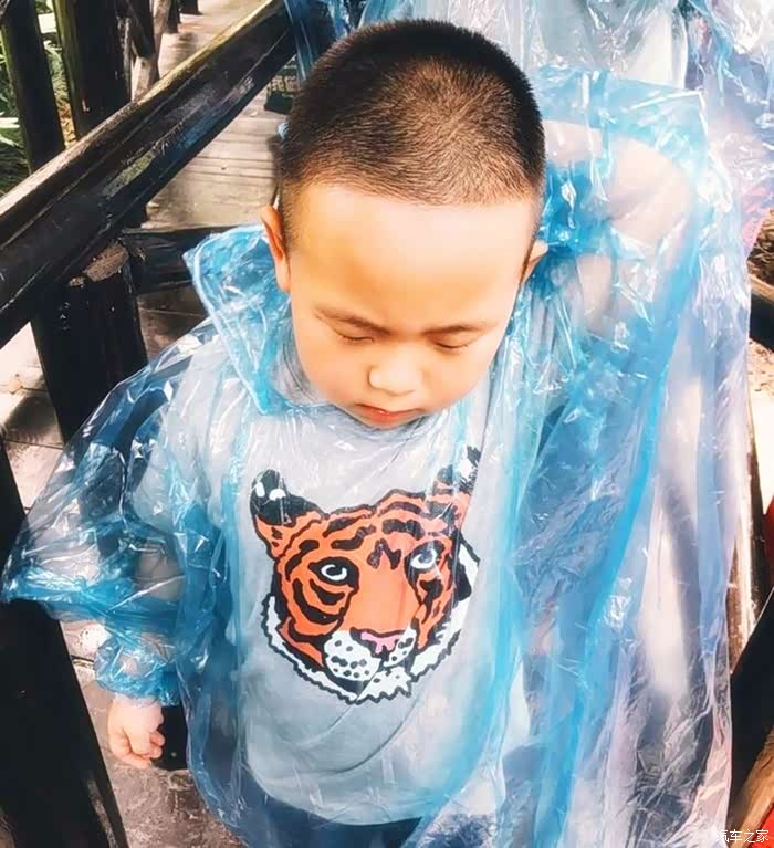 【图】家里有个胖小子_荣威rx5/rx5新能源论坛_汽车之家论坛