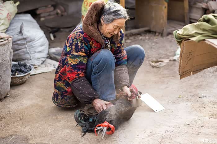 东风风行x5杯 奶奶杀鸡