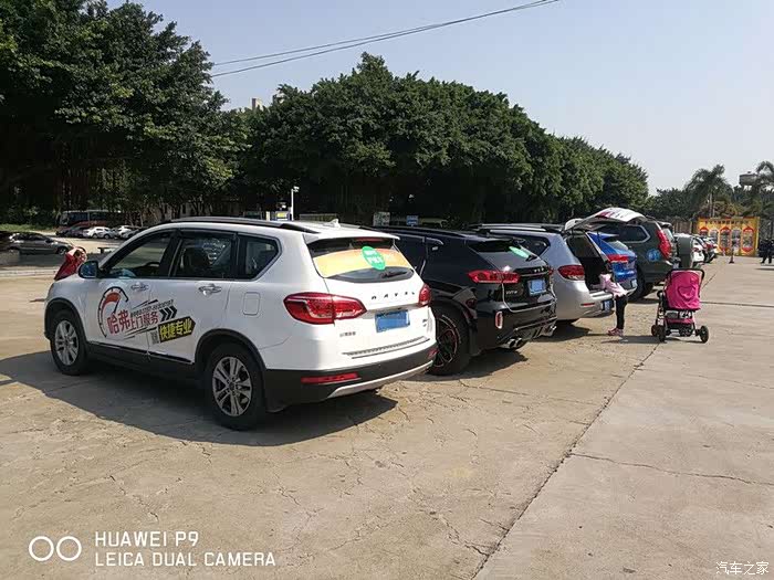 意义非凡的植树活动+野炊(男士动手做菜,女士