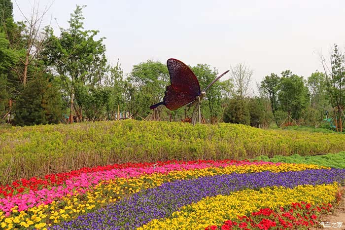 北京劲悦团车友会---悦翔v7带老妈蝴蝶园看蝴蝶