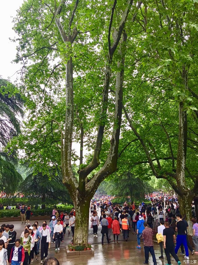 南京走马观花,偷得浮生数日闲——中山陵