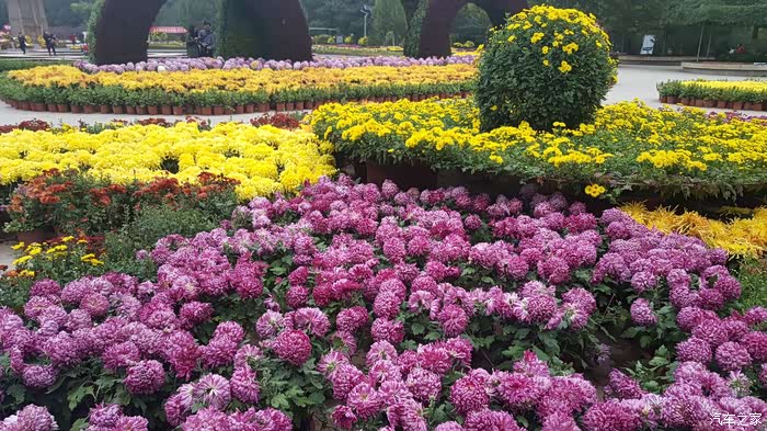 五一植物园游