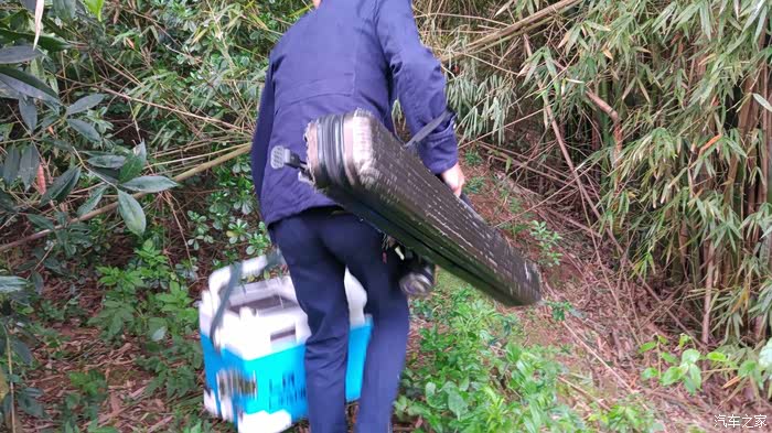 开始钻树林.哈哈.