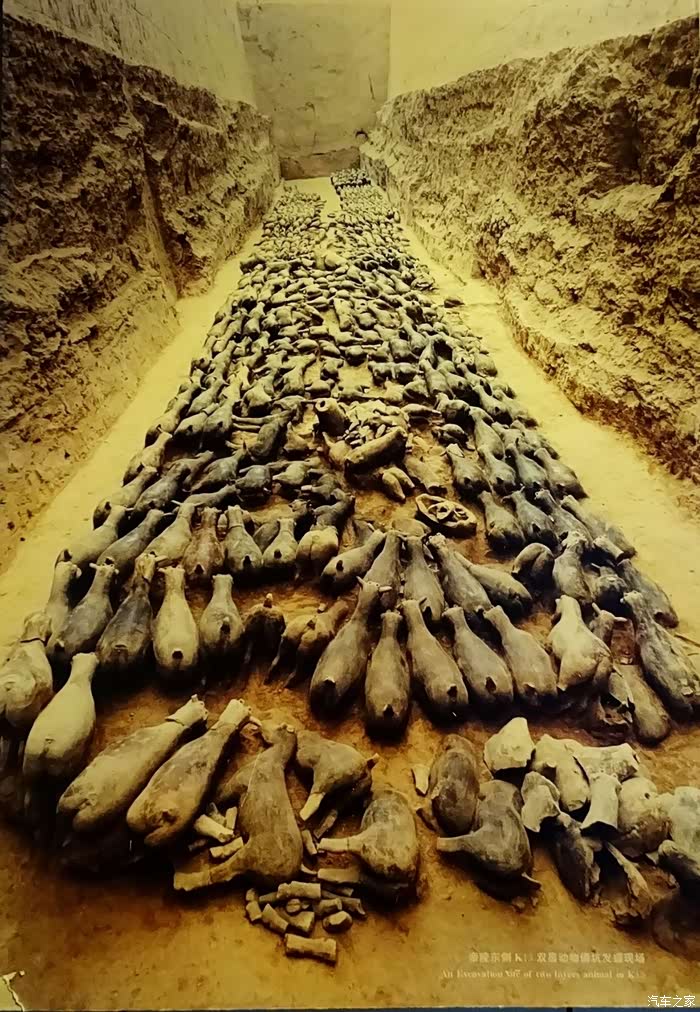 帝国盛世赞文景 天汉神韵耀中华--春游汉阳陵考古陈列馆