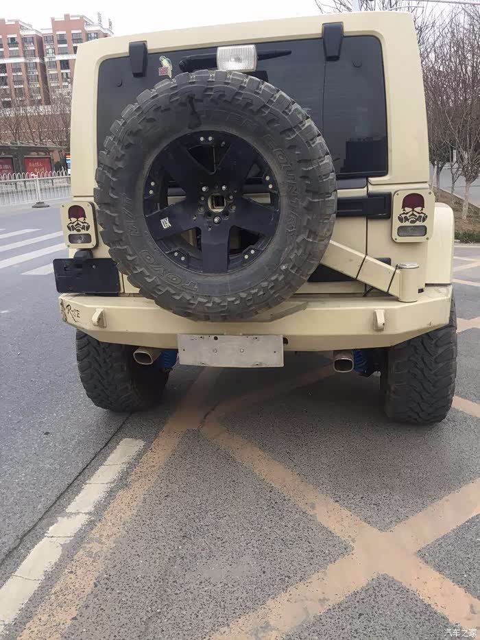 稀有颜色 沙漠黄牧马人