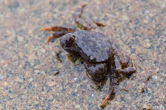 驾翼搏旅见洞头探秘七彩渔村下