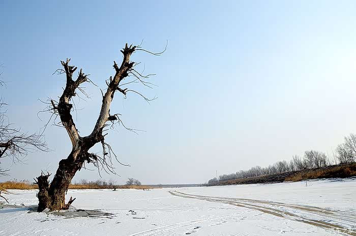 开春这地方就过不来,河里面枯树