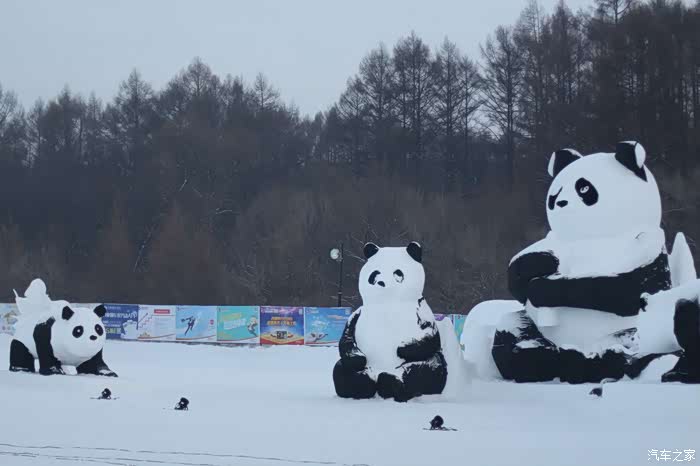 在场地周围转转,有群大熊猫雪雕.
