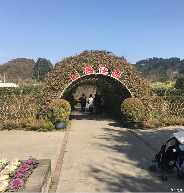 当小六子遇上郁金香!记新津花舞人间郁金香节