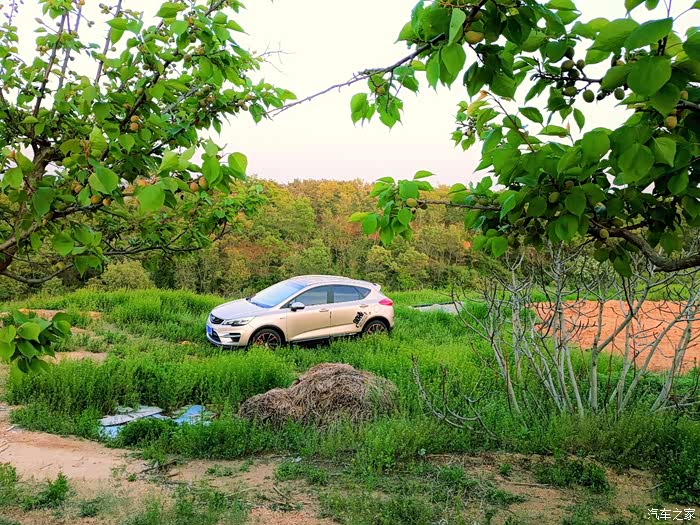 当红花季走出趣开着帝豪gs到野外踏青听听虫鸣鸟叫的声音